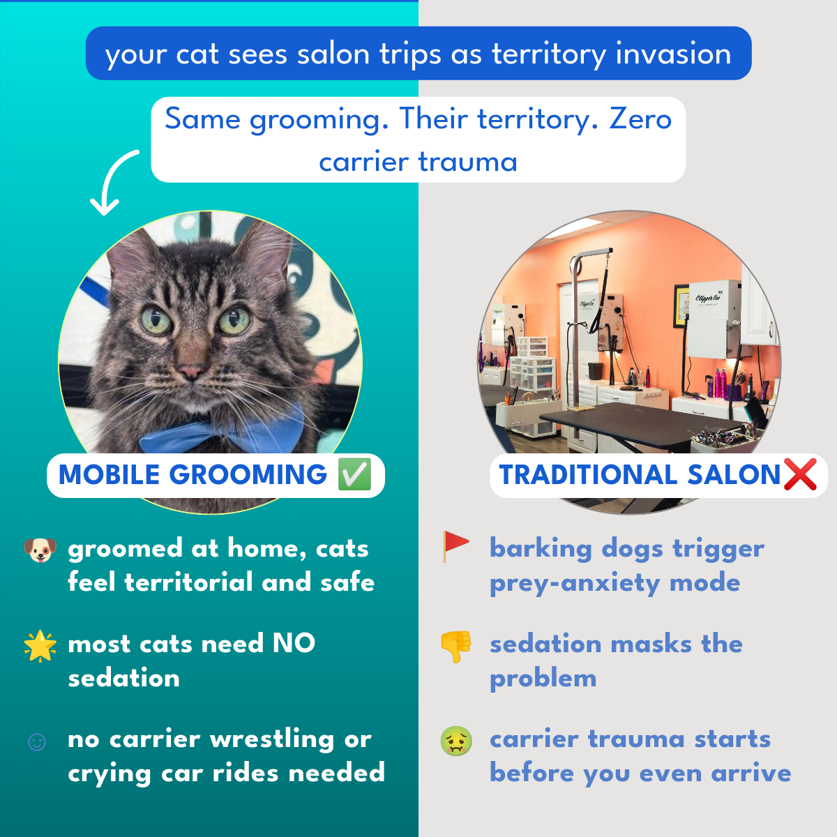 Pawradisego Mobile Grooming Facebook ad from Jan 30, 2026