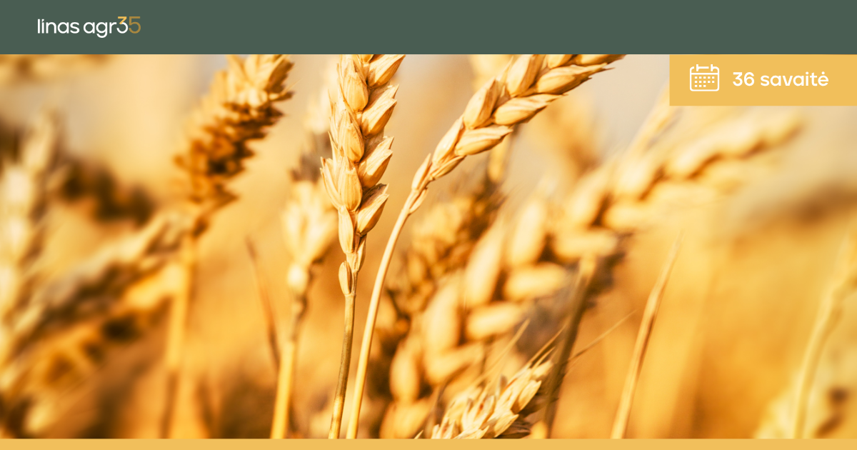 Linas Agro Lietuva Facebook ad