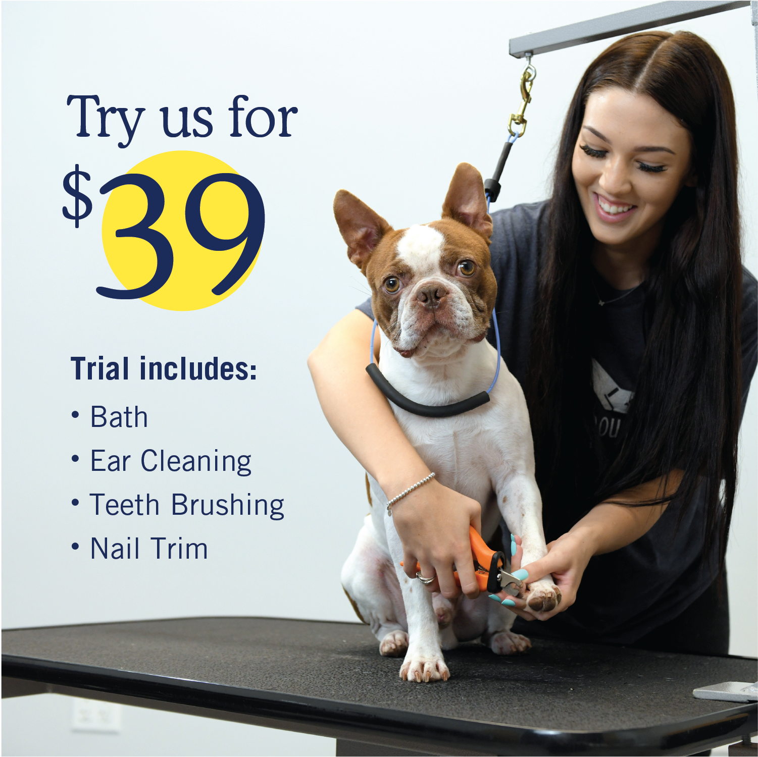 Scenthound Facebook ad: Love a Clean, Healthy Dog!