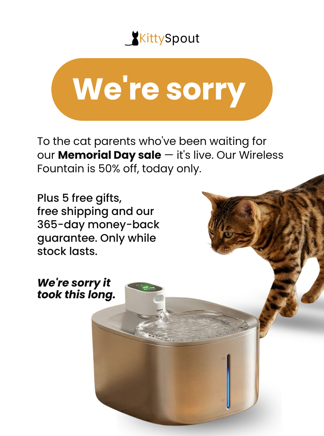 KittySpout Facebook ad