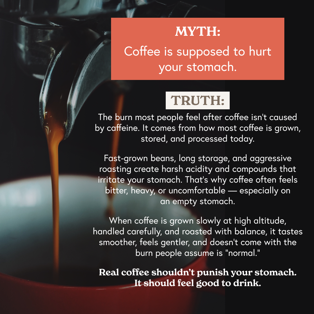 Fabula Coffee Facebook ad