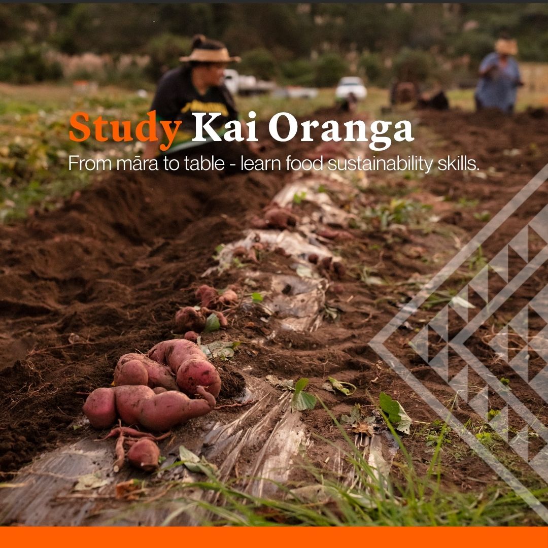 Te Whare Wānanga o Awanuiārangi Facebook ad
