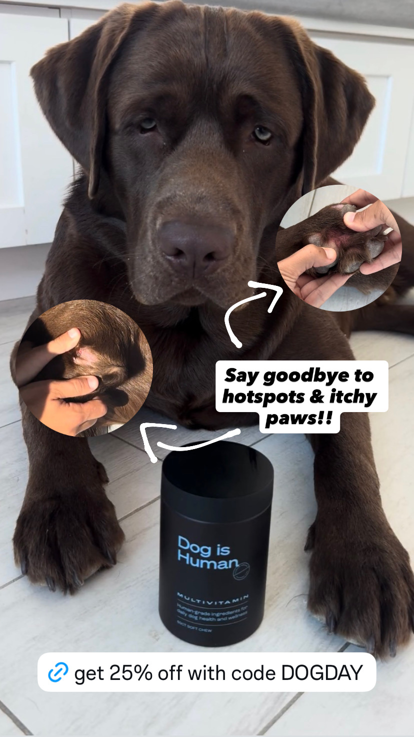 Dog is Human Facebook ad