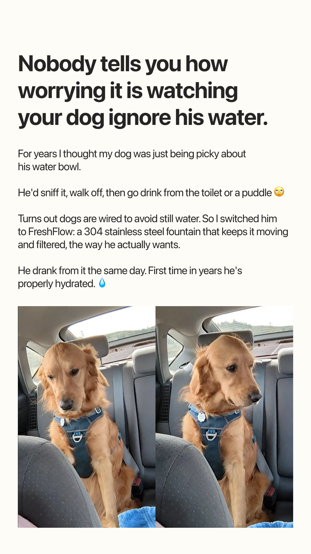 Pet Health Insiders Facebook ad
