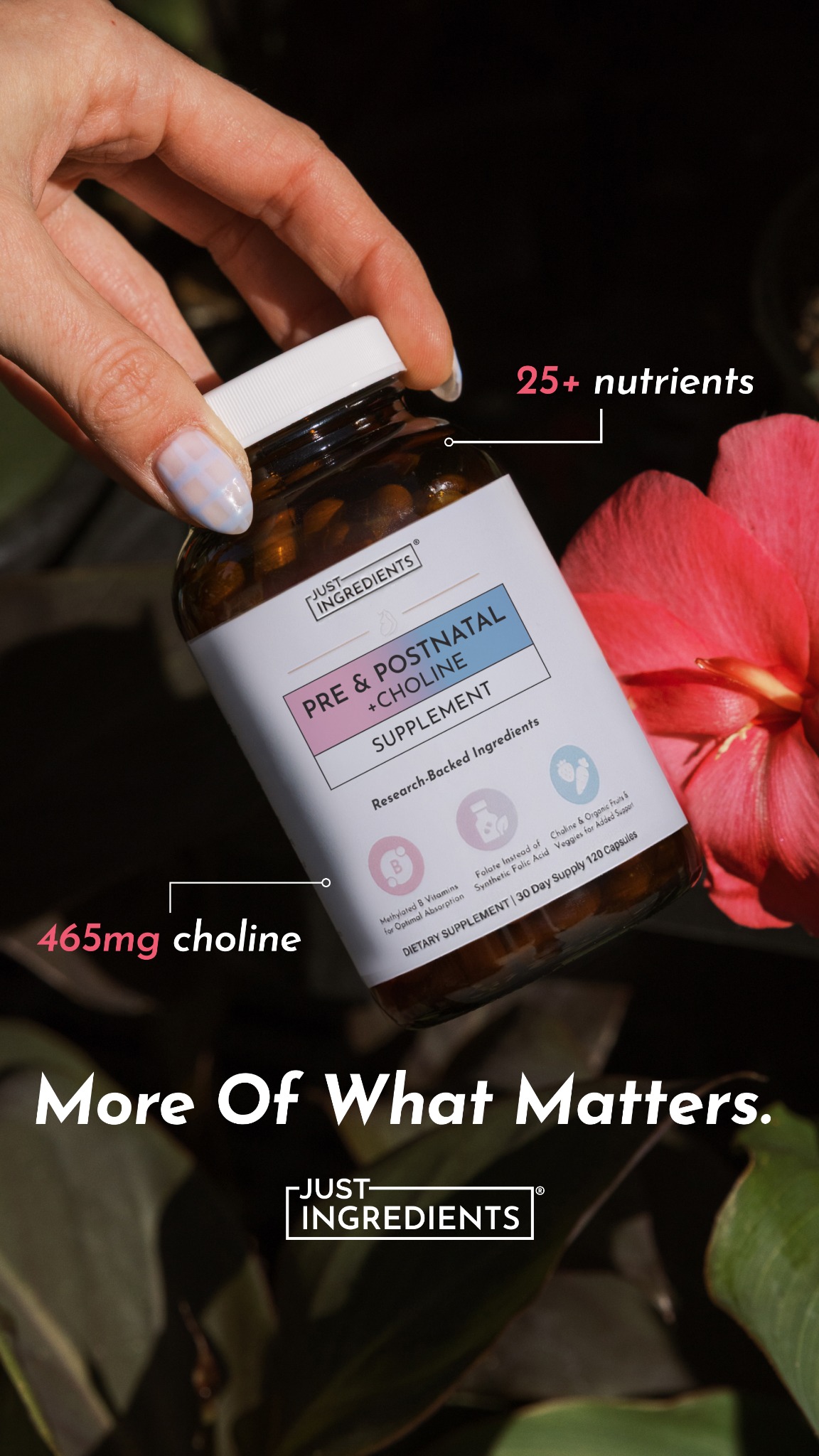 Just Ingredients Shop Facebook ad from Aug 17, 2026