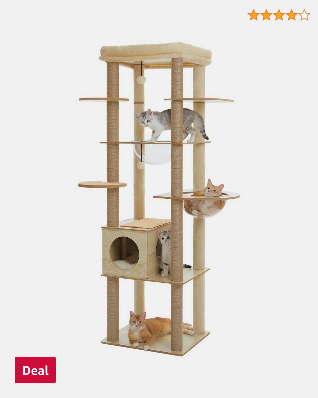 Amazon.ca Facebook ad