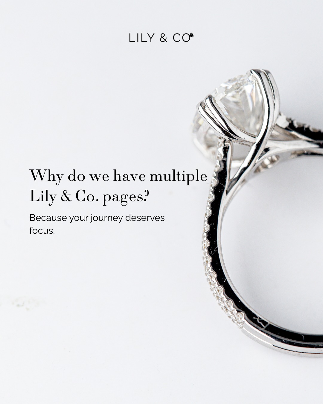 Lily & Co. PH Facebook ad