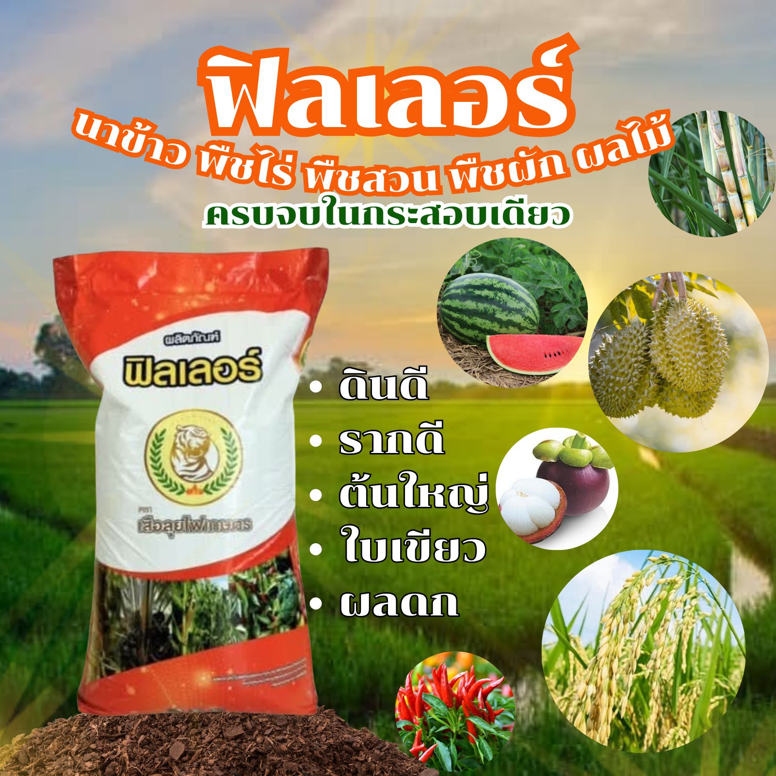 บริษัท เสือลุยไฟเกษตร จำกัด Facebook ad: สินค้าแบรนด์เสือลุยไฟเกษตรซื้อหาได้ที่
