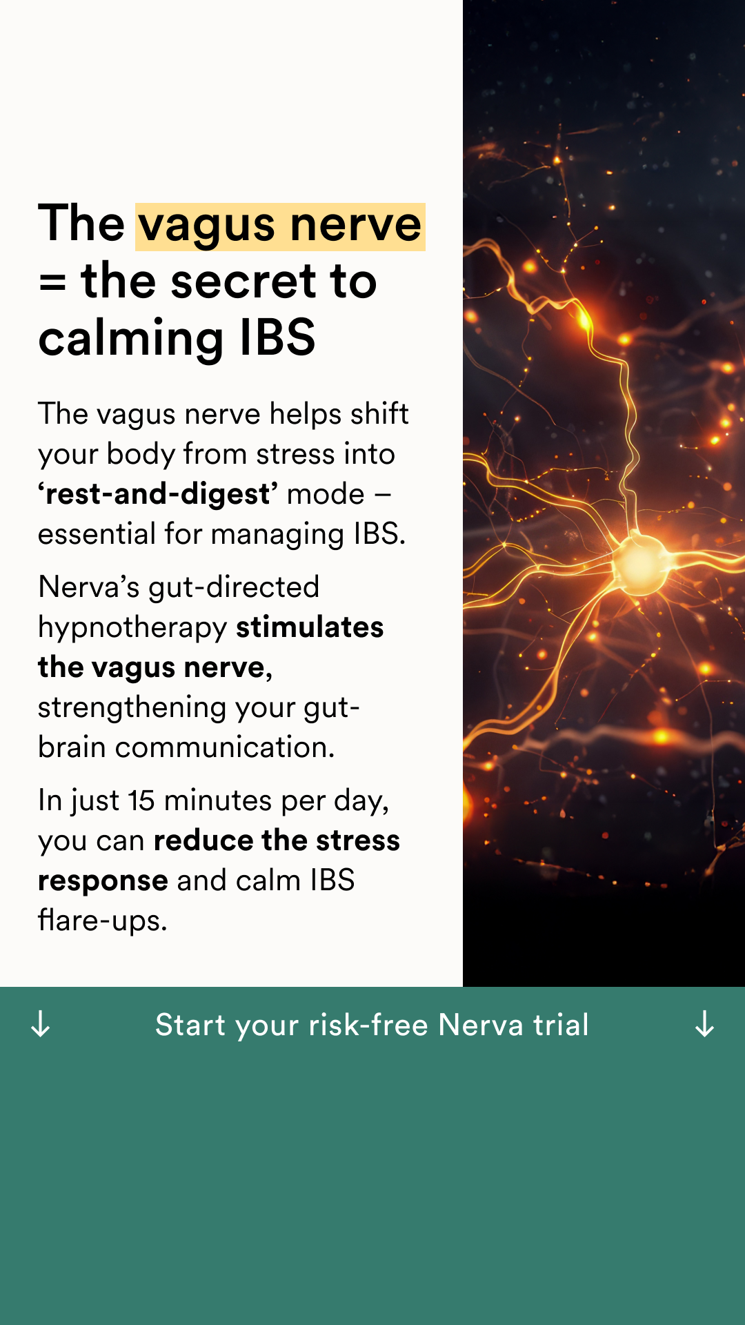 Nerva: IBS & Gut Care Facebook ad