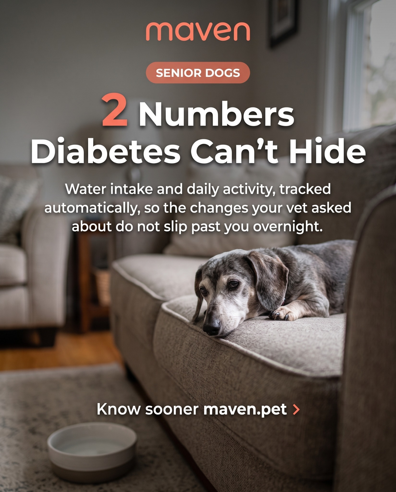 Maven Pet Facebook ad