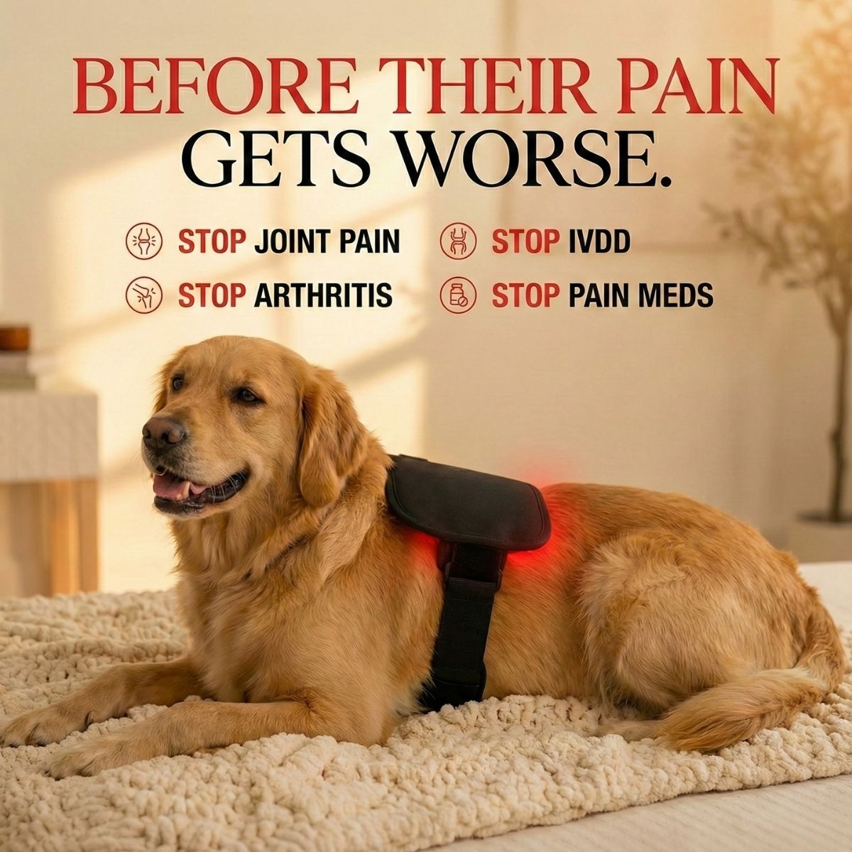 Therapet Co Facebook ad
