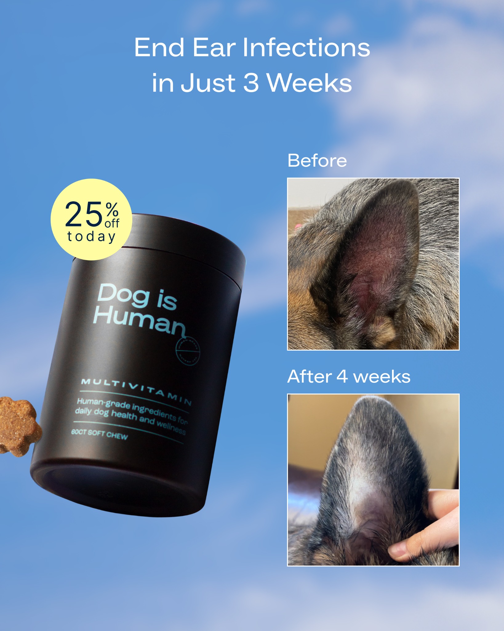 Dog is Human Facebook ad