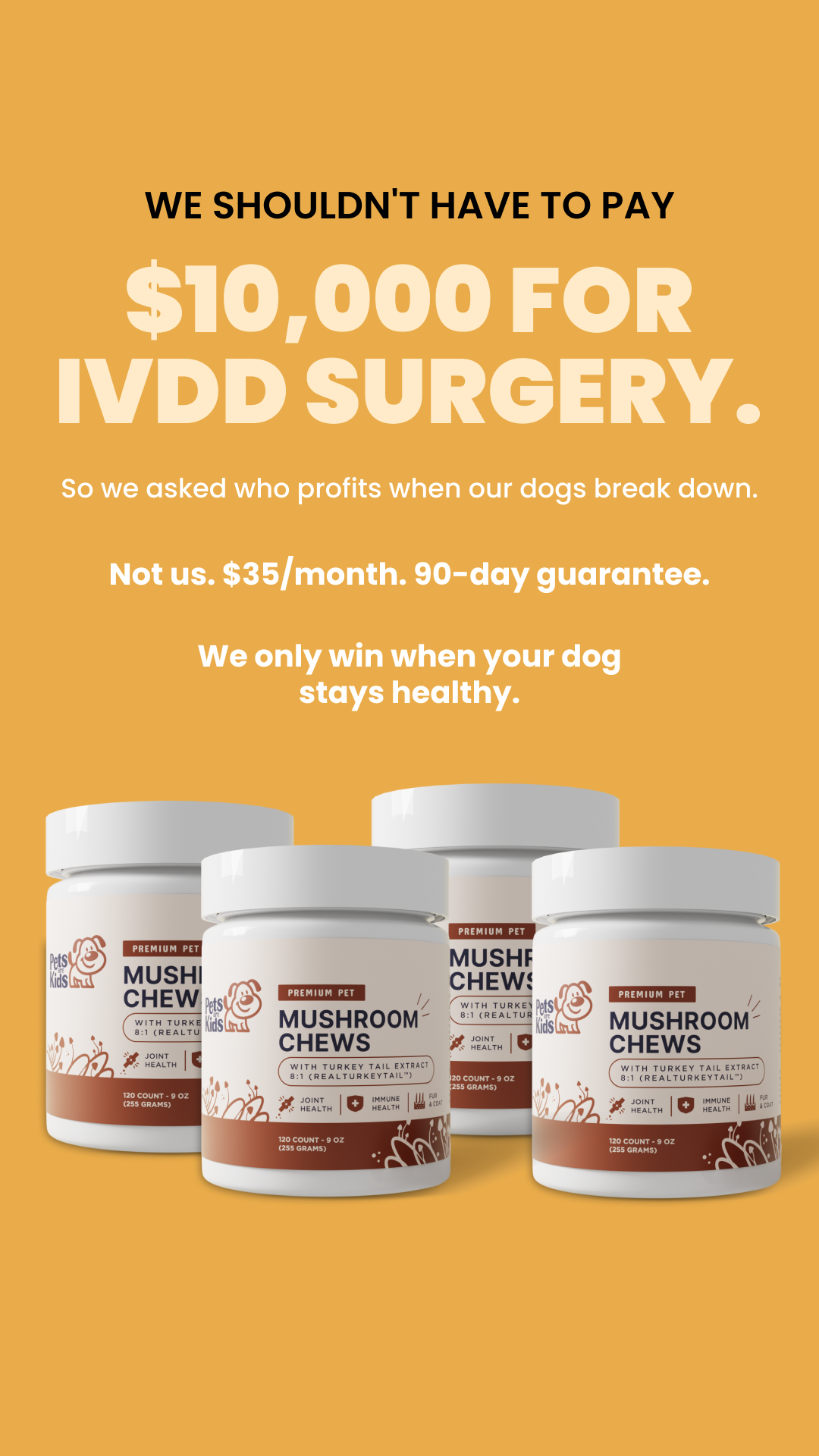 IVDD Support Facebook ad from Feb 28, 2026