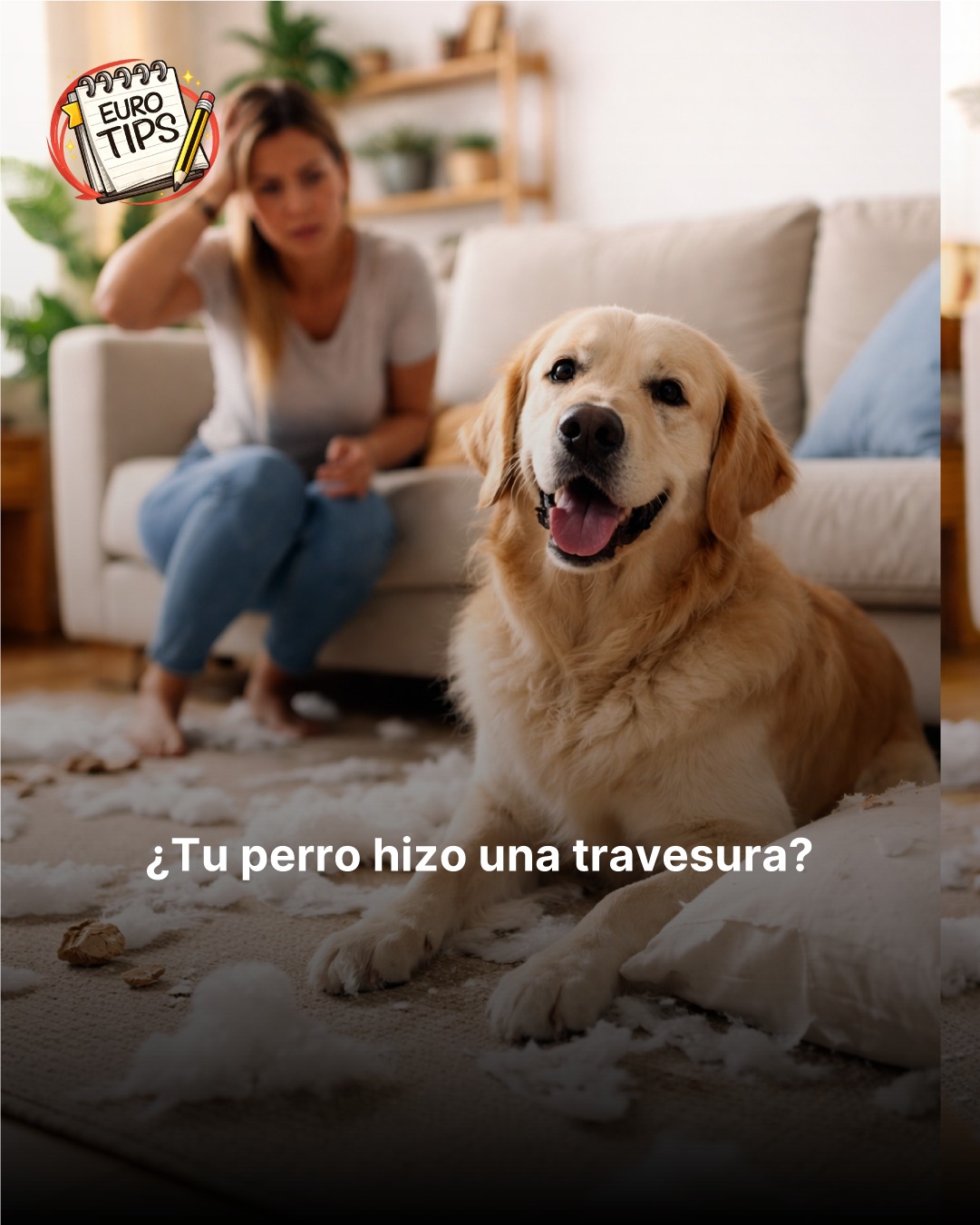 EuroPET Facebook ad: ¿A quién no le pasó una travesura en…