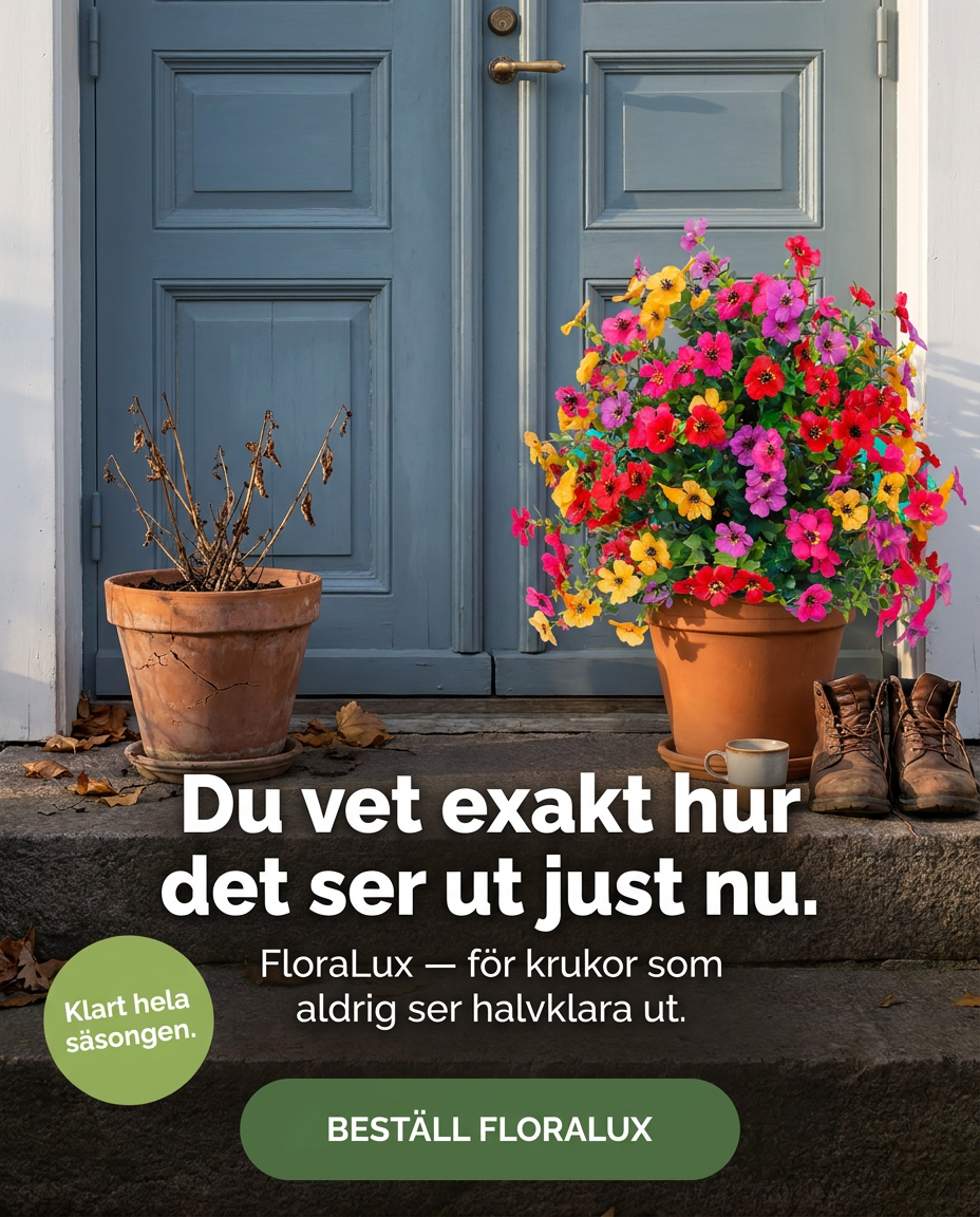 Norillo Facebook ad
