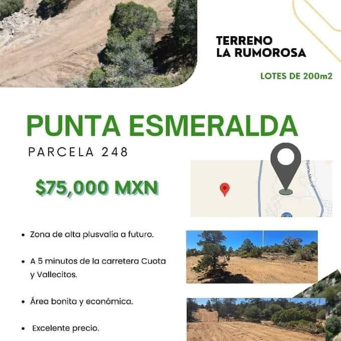 Terrenos La Rumorosa Punta Esmeralda Facebook ad: Terrenos La Rumorosa Punta Esmeralda