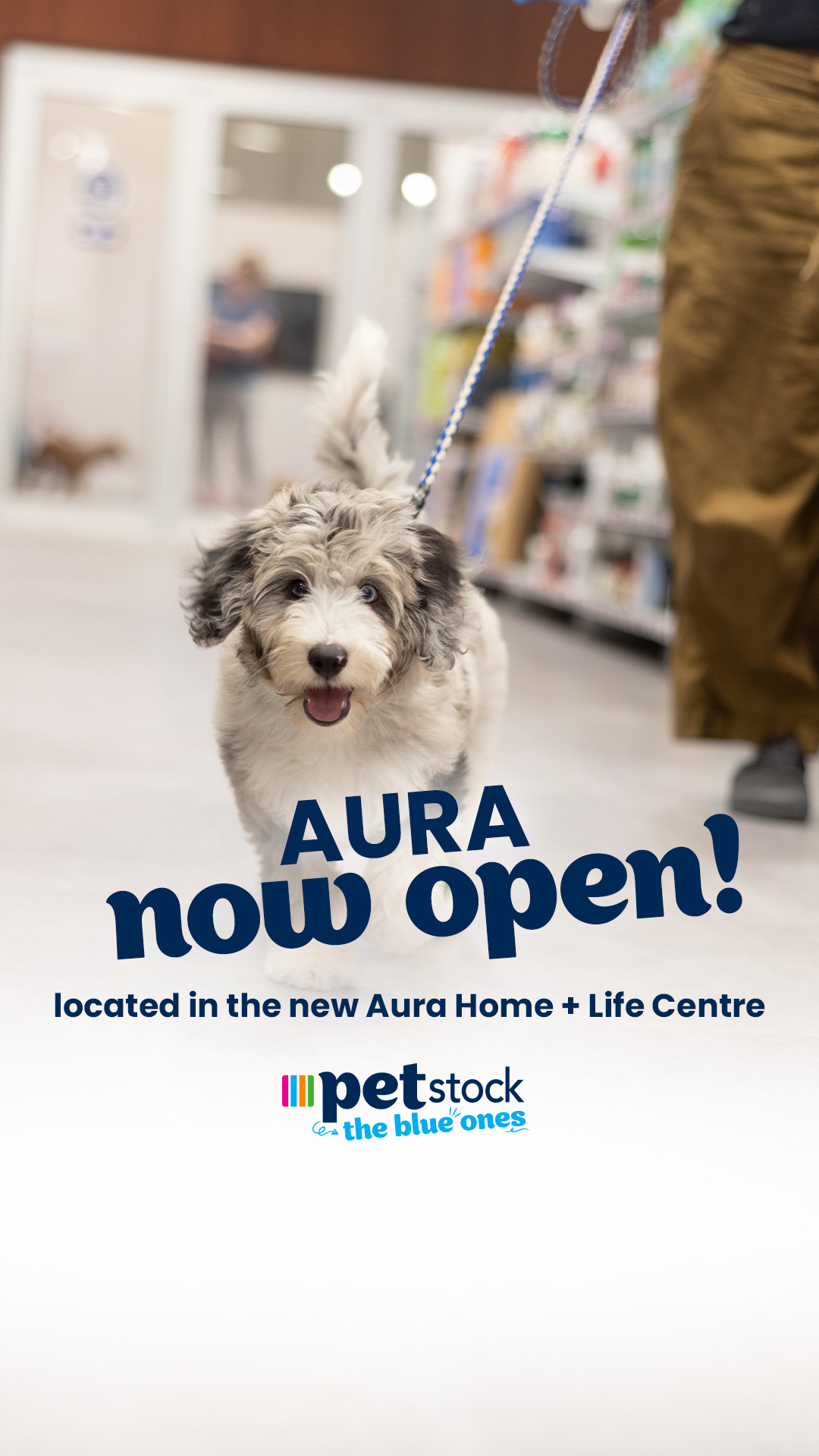 Petstock Facebook ad