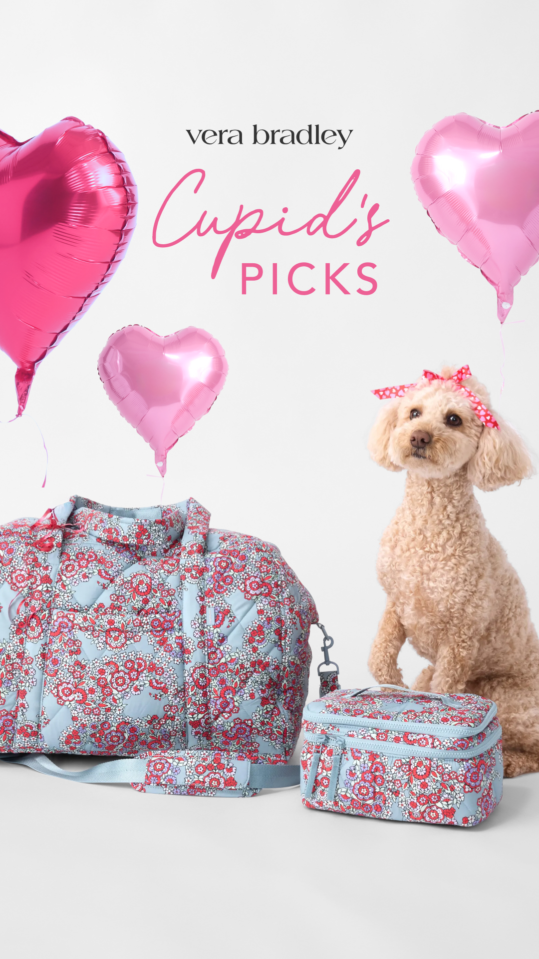 Vera Bradley Facebook ad
