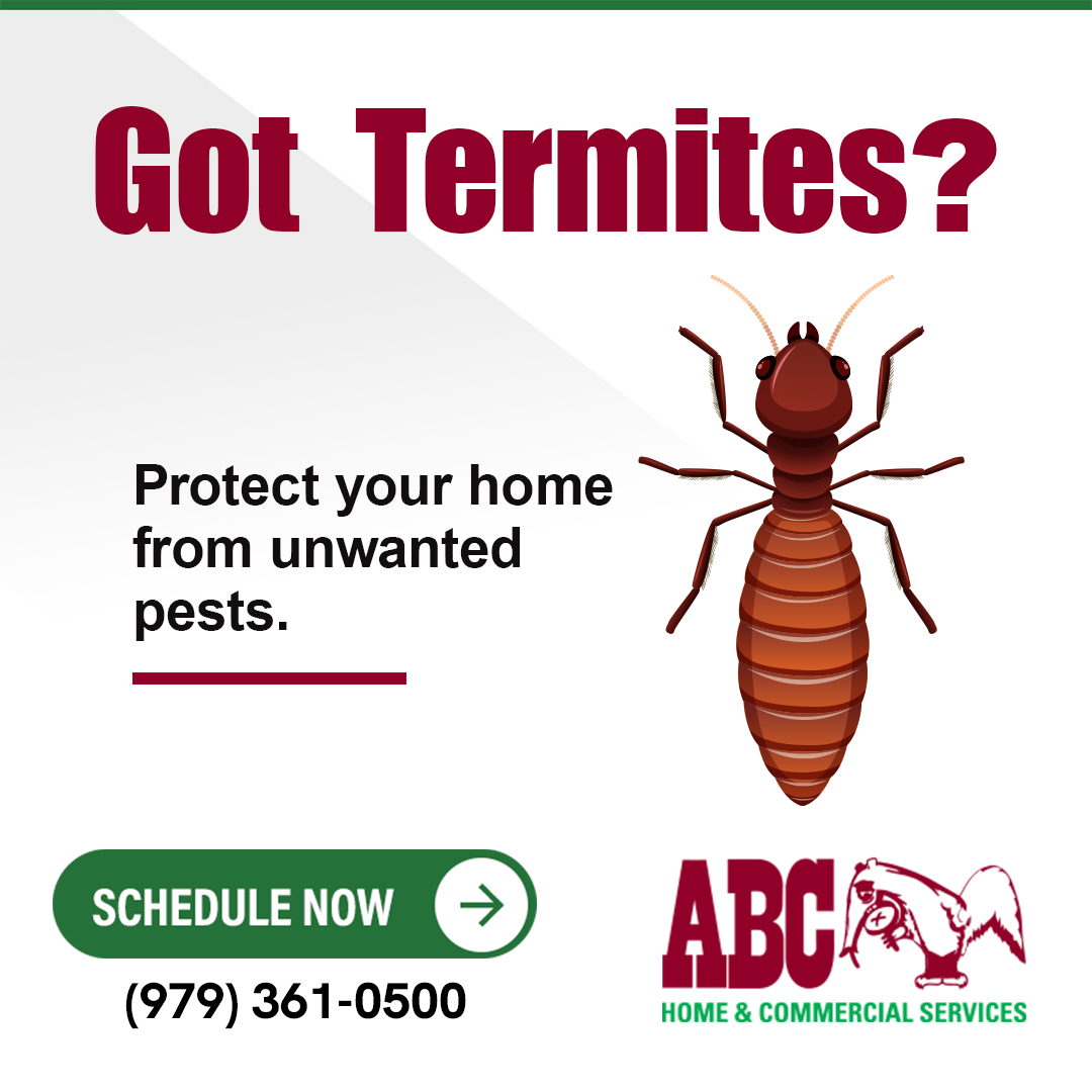 ABC Home & Commercial Services Facebook ad