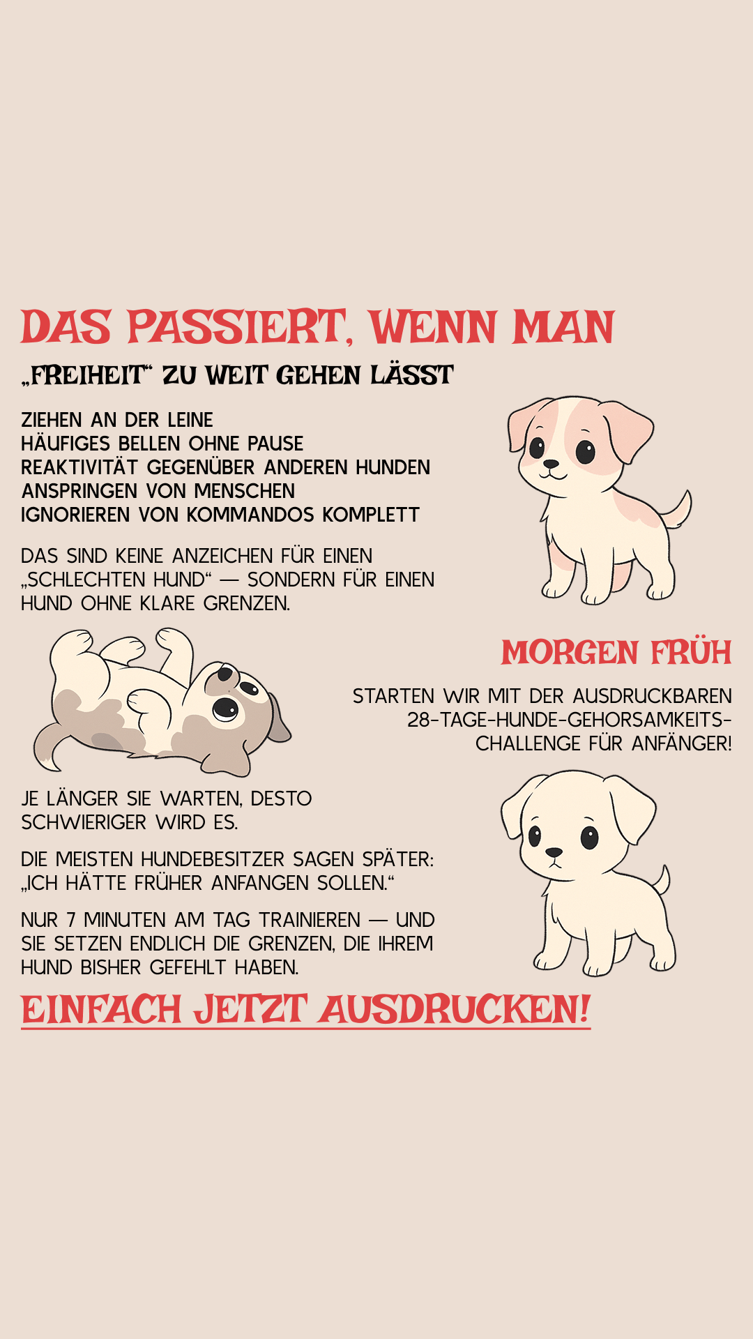 28 Day Dog Obedience Challenge Facebook ad