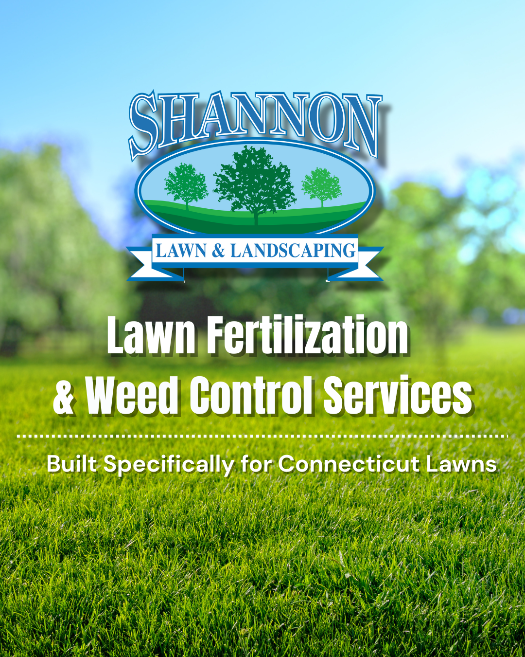 Shannon Lawn & Landscaping Inc Facebook ad from Jan 16, 2026