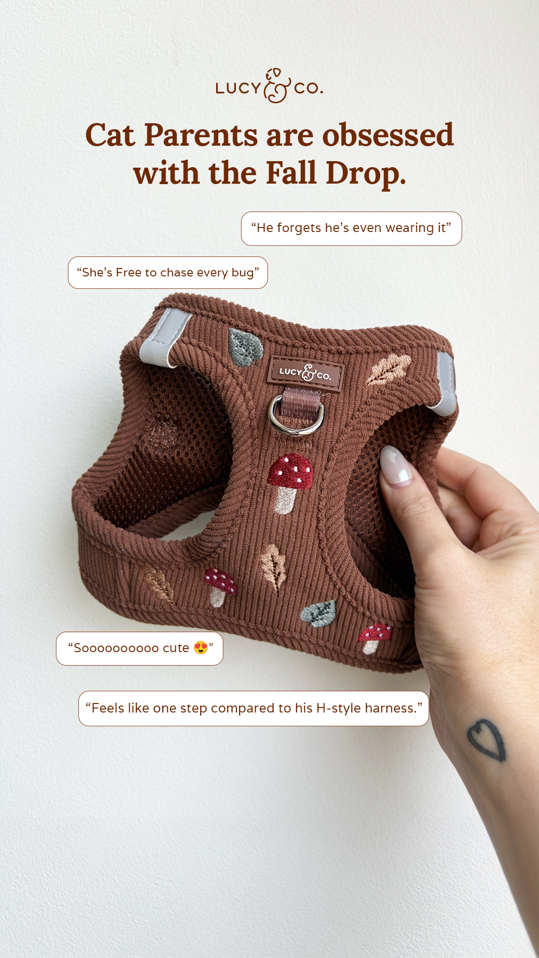 Lucy & Co. Facebook ad