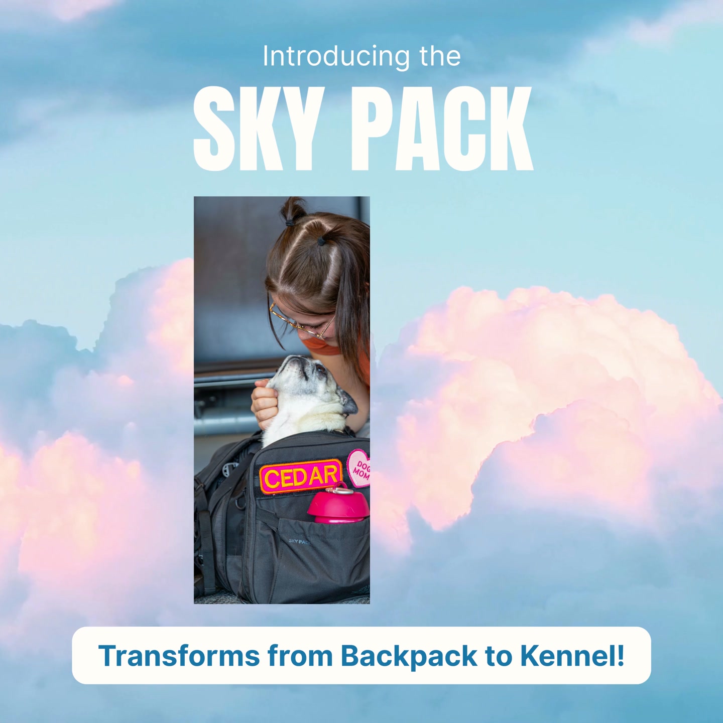 K9 Sport Sack Facebook ad from May 6, 2026