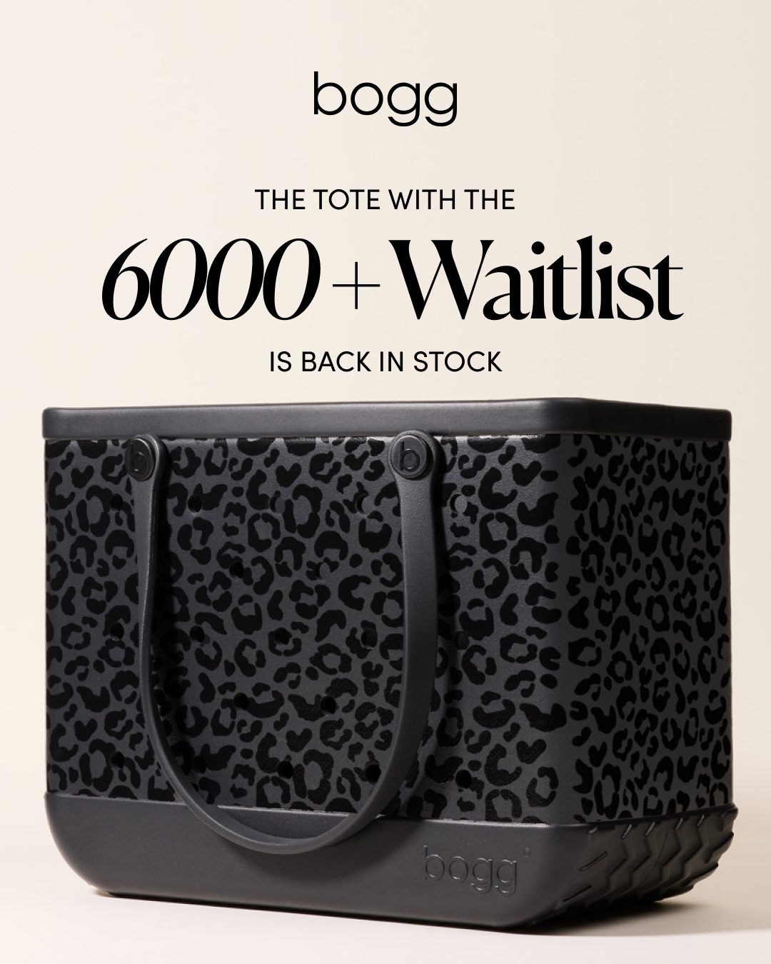 Bogg Bag Facebook ad