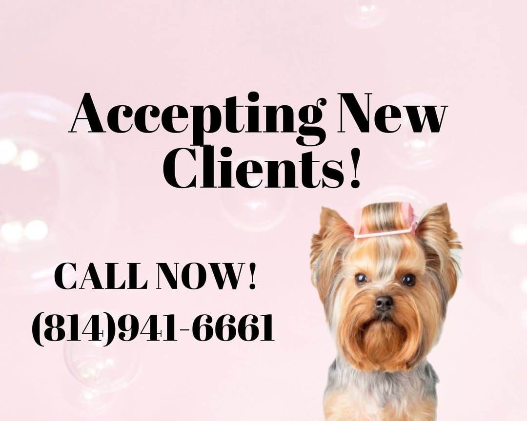 Fabulous Fido Facebook ad: In need of pet grooming?