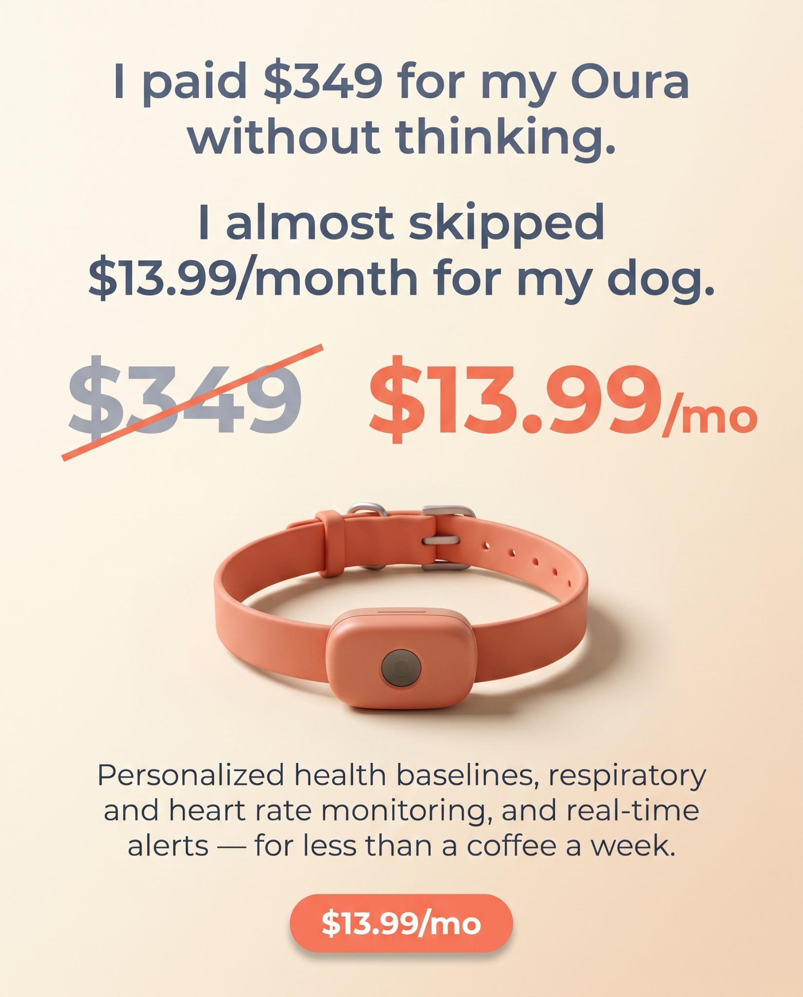 Maven Pet Facebook ad