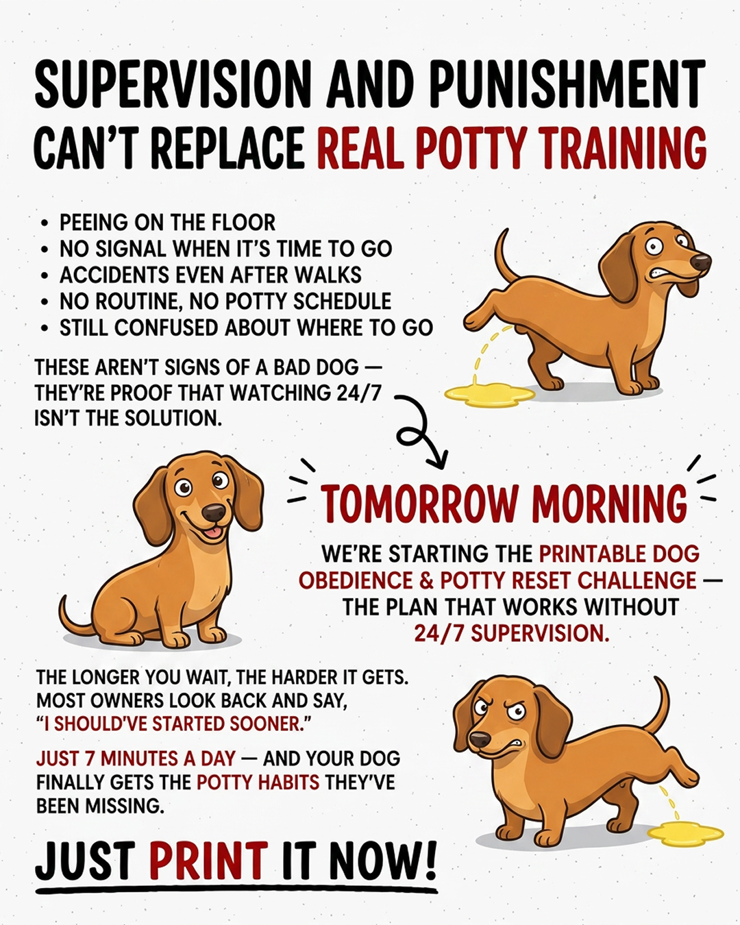 Ben Your Puppy Trainer Facebook ad