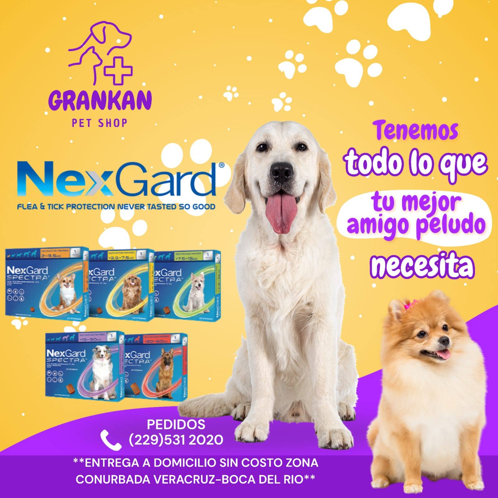 Gran Kan Facebook ad: ¡NEXGARD SPECTRA y SIMPÁRICA tu mejor aliado contra…