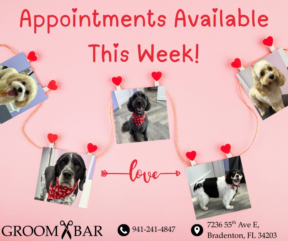 Groombar Bradenton, FL Facebook ad