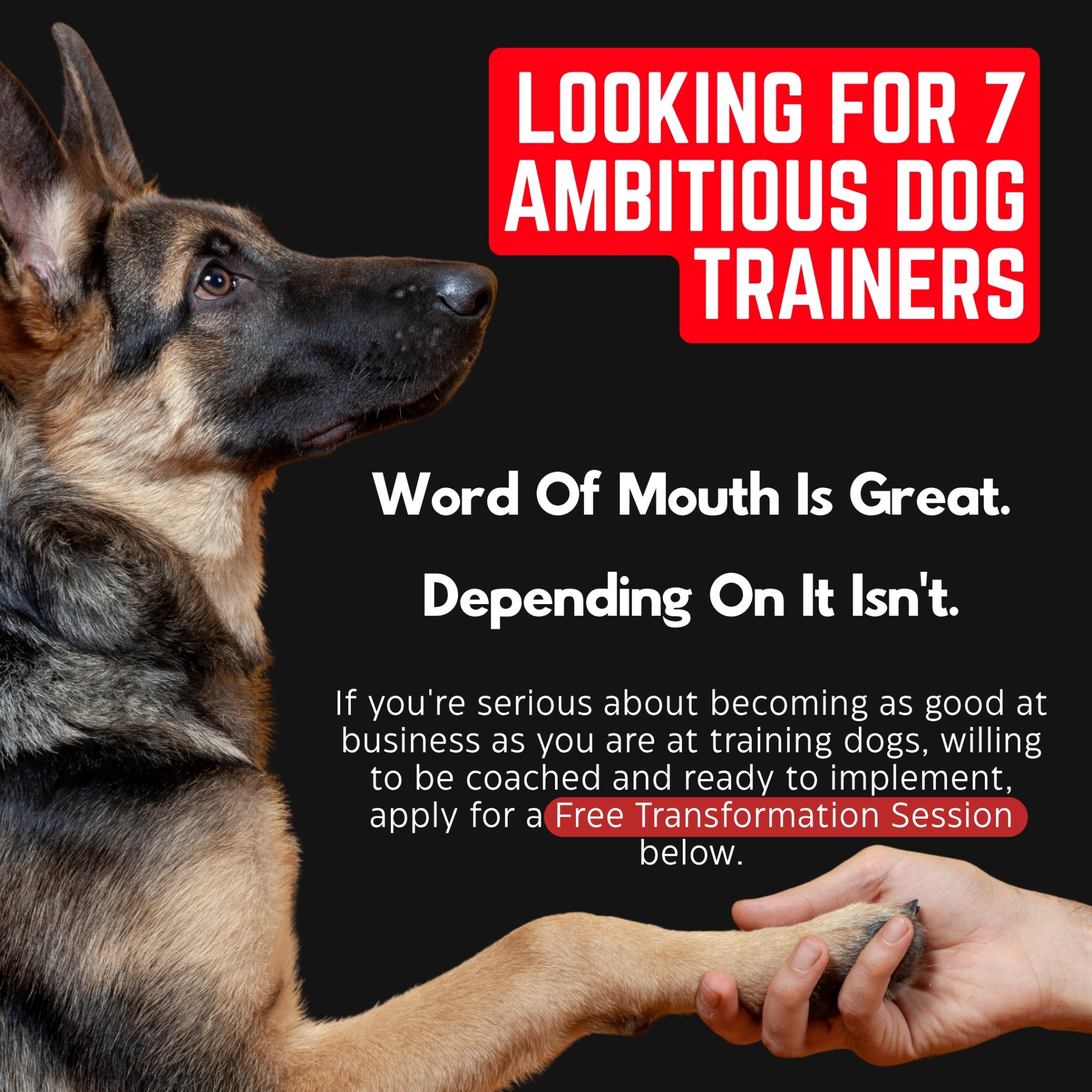 Canine Conversions Facebook ad