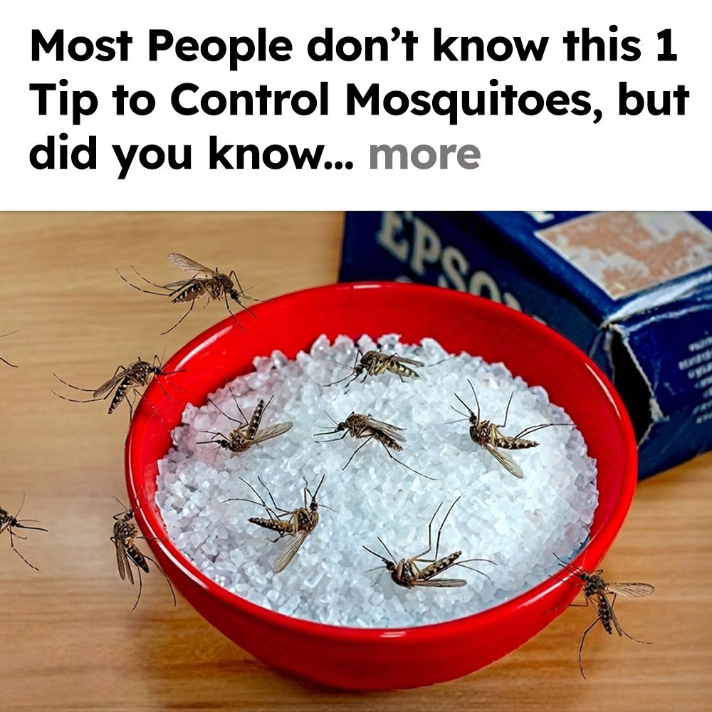 Mosquito Secrets Facebook ad