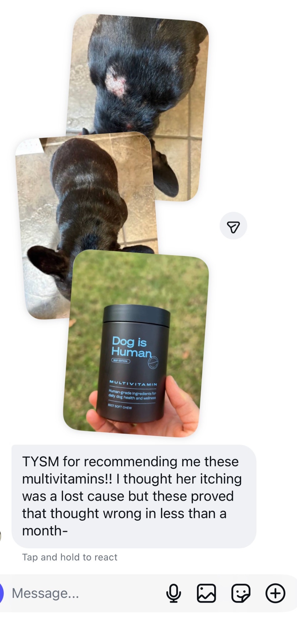 Dog is Human Facebook ad