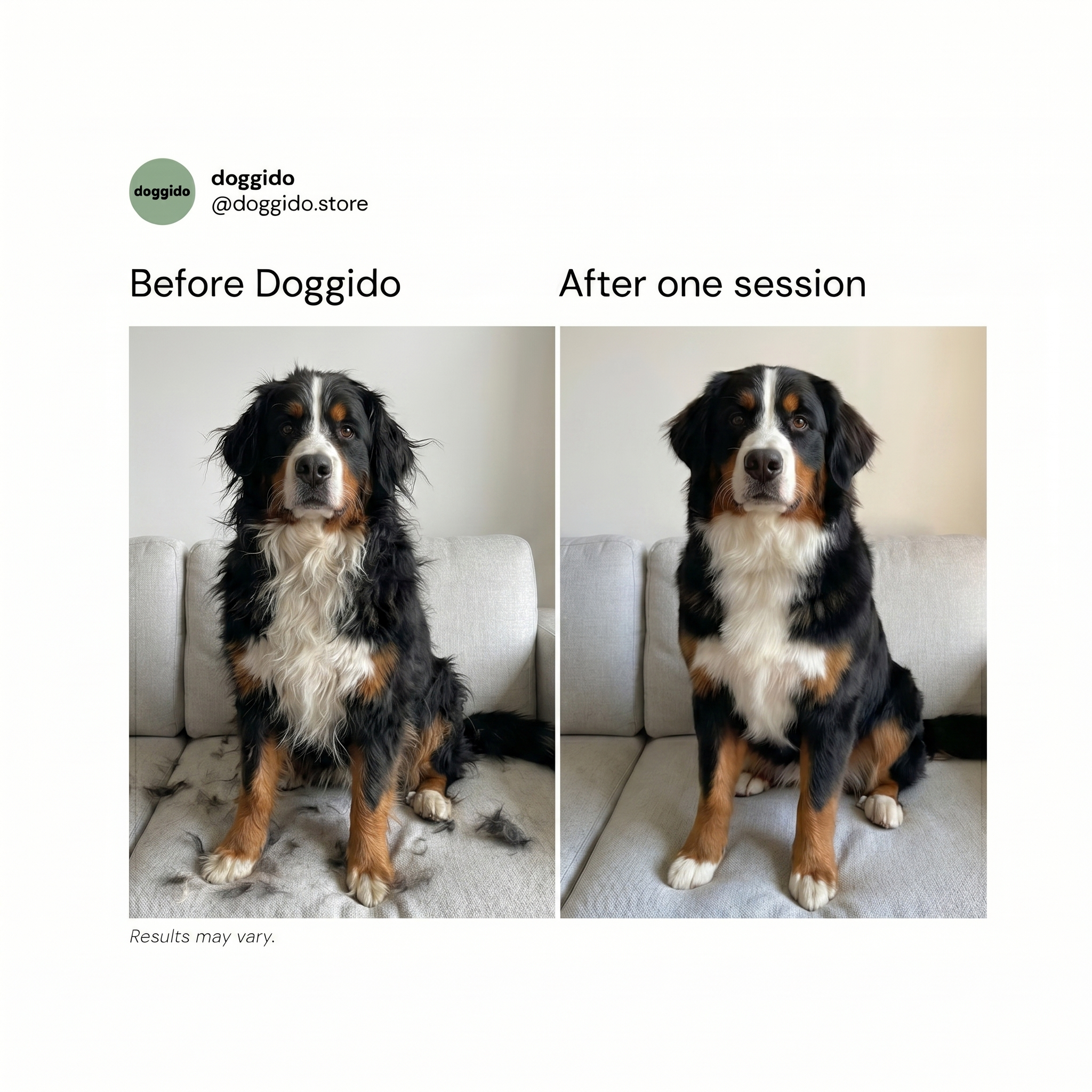 Doggido Facebook ad