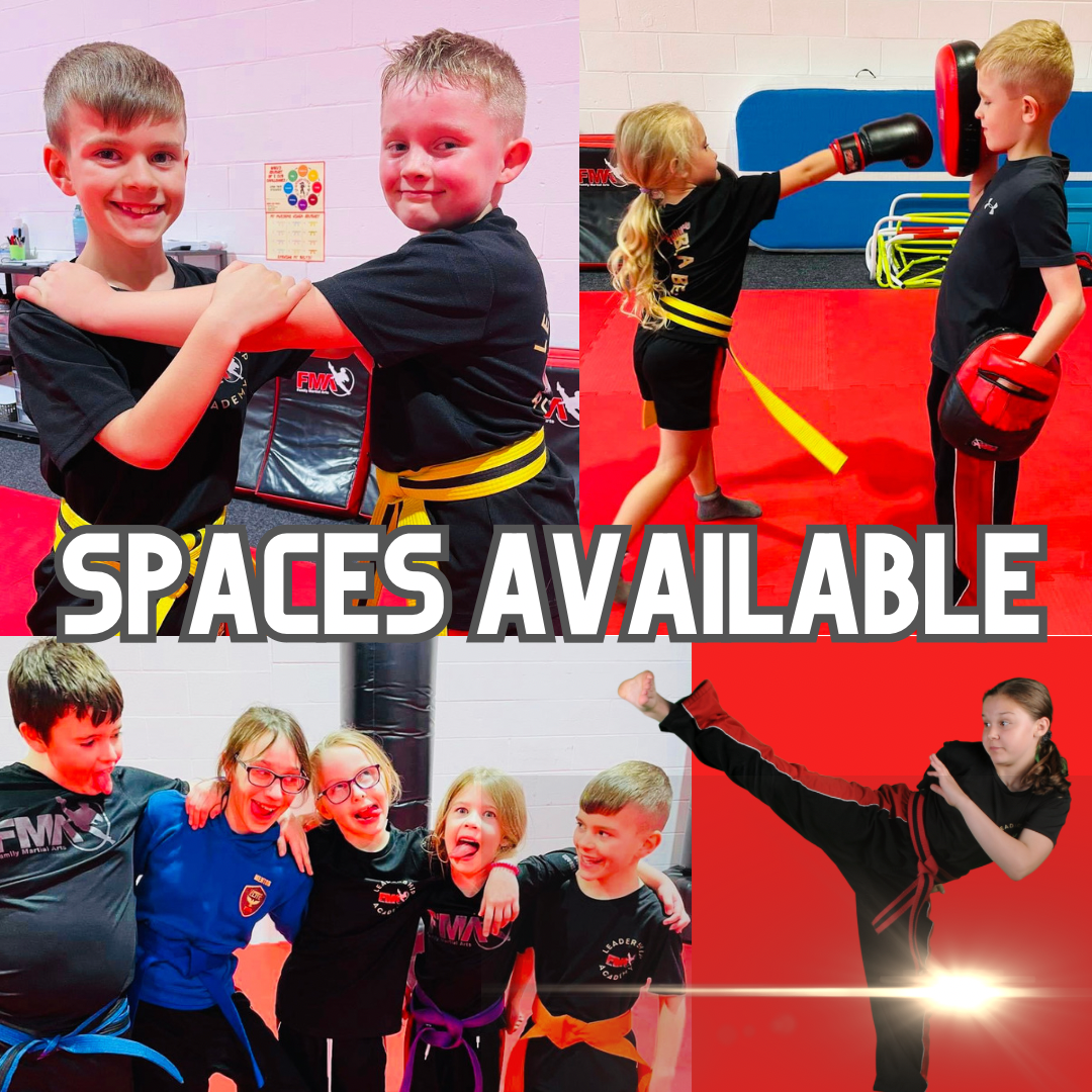 Family Martial Arts Pensby Facebook ad: Parents Don't Miss this