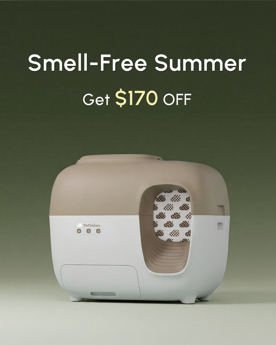 PetSnowy Facebook ad