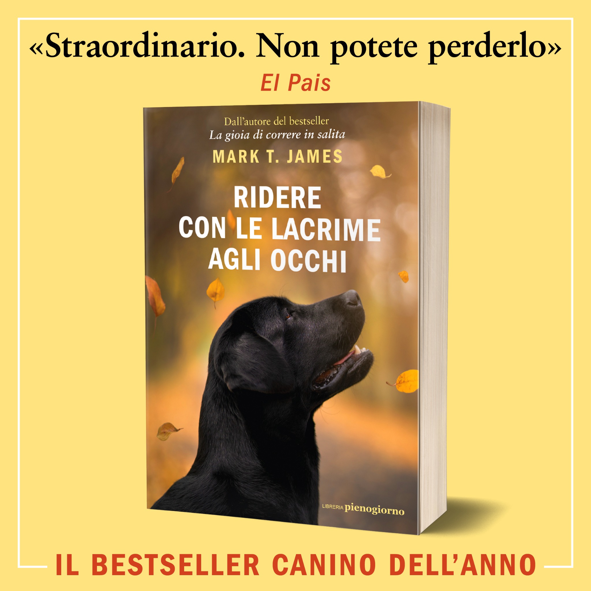 Ridere con le lacrime agli occhi - Il libro Facebook ad