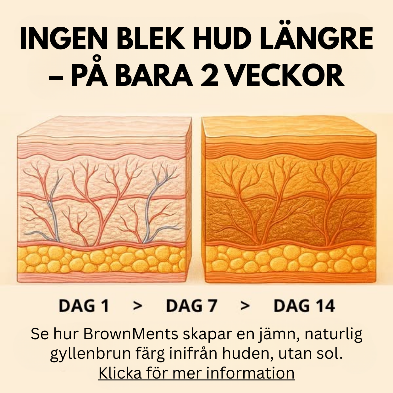 Stephen Love Longo Facebook ad: Sluta smörja. Börja stärka på riktigt.
