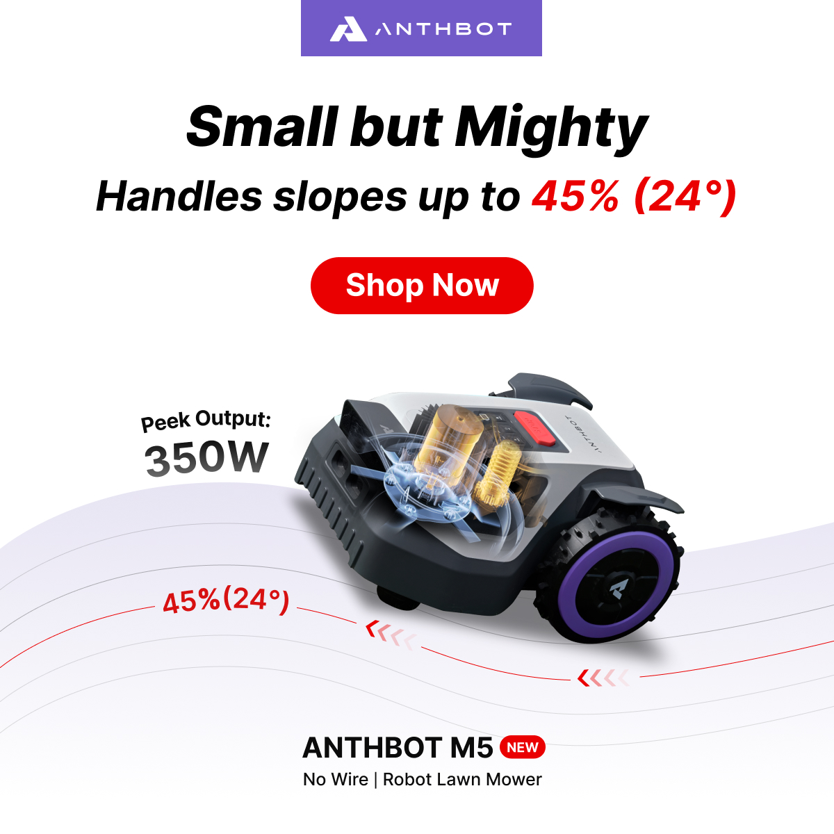 ANTHBOT Facebook ad