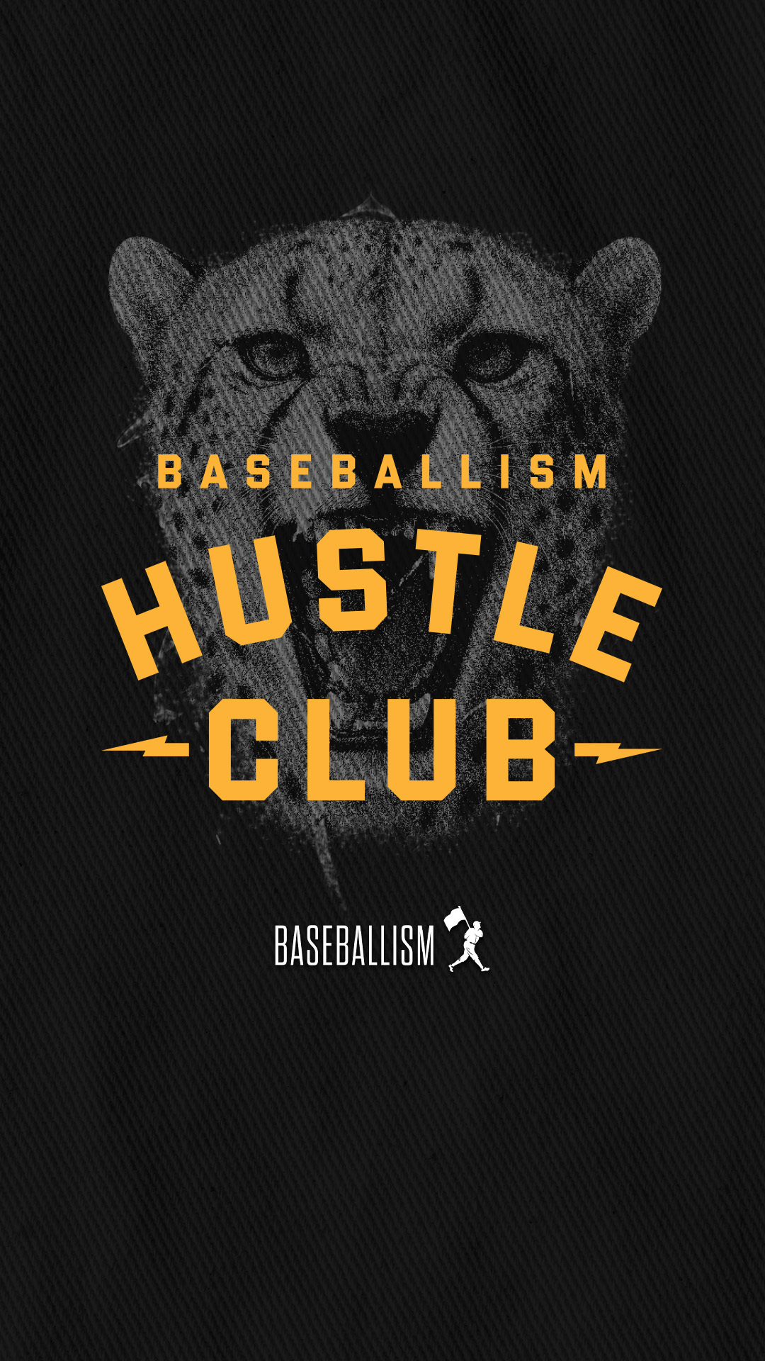 Baseballism Facebook ad