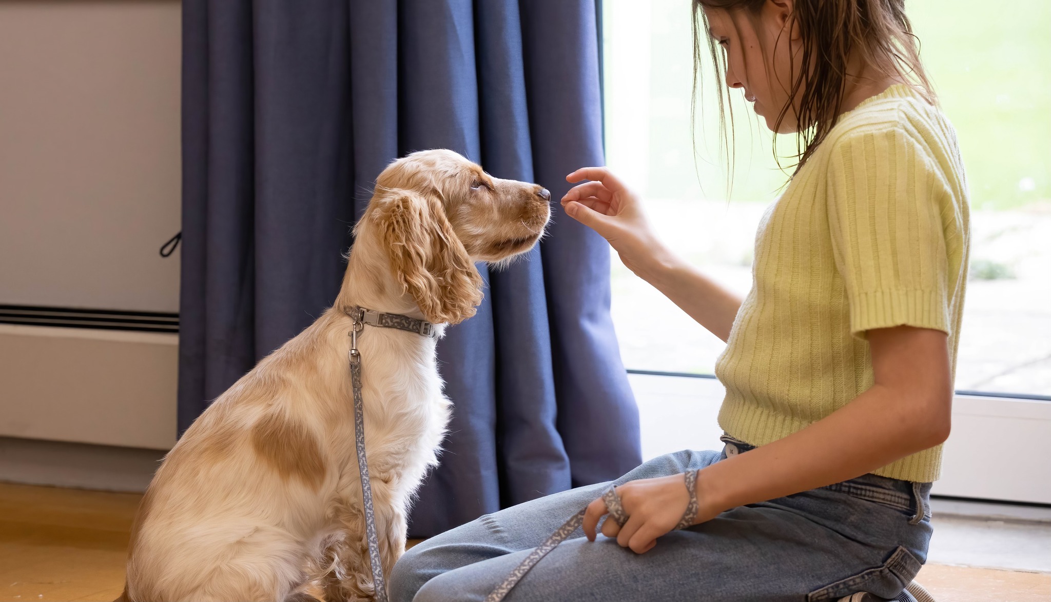 Perfect Puppies Facebook ad: Puppy Training Classes - Leafield MON 9 MAR 7.00pm