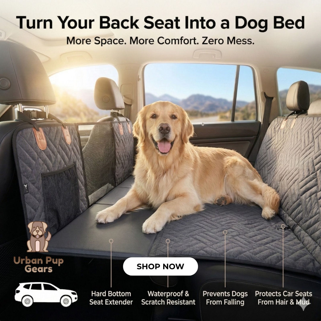 Urban Pup Gears Facebook ad: Now $79.99 + FREE Dog Bed & Belt