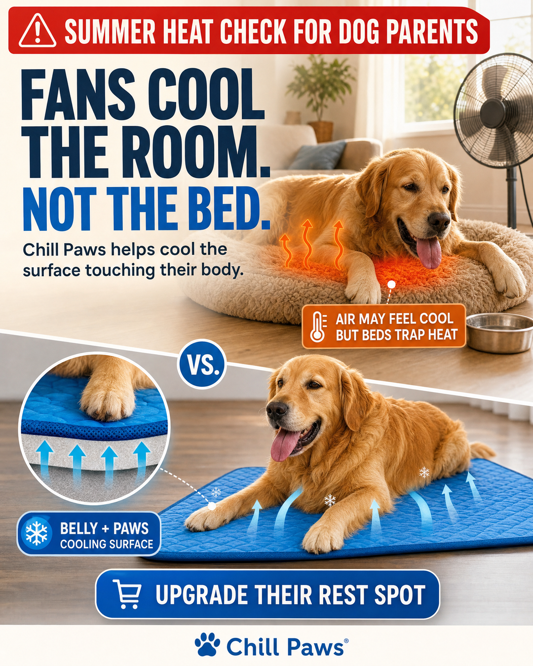 Rhykin Pet Co Facebook ad