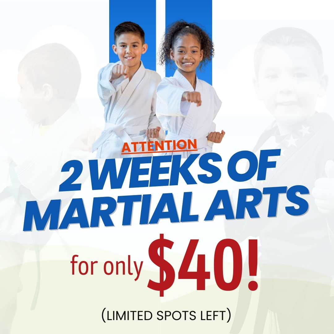 North Hills ATA Martial Arts Facebook ad