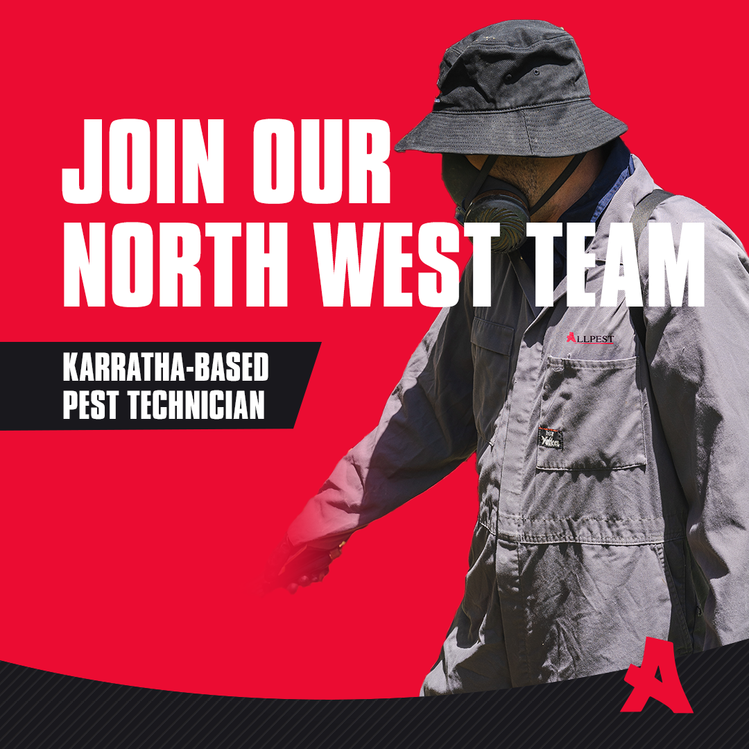 Allpest North West Facebook ad: Our Northwest branch is seeking a KARRATHA-based Technician…