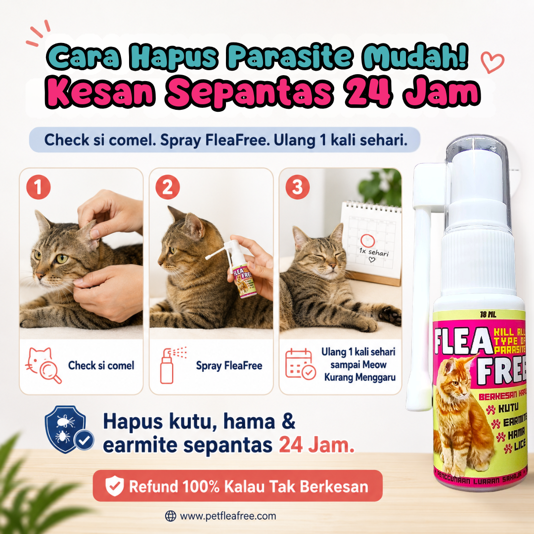 Pet Flea Free Facebook ad