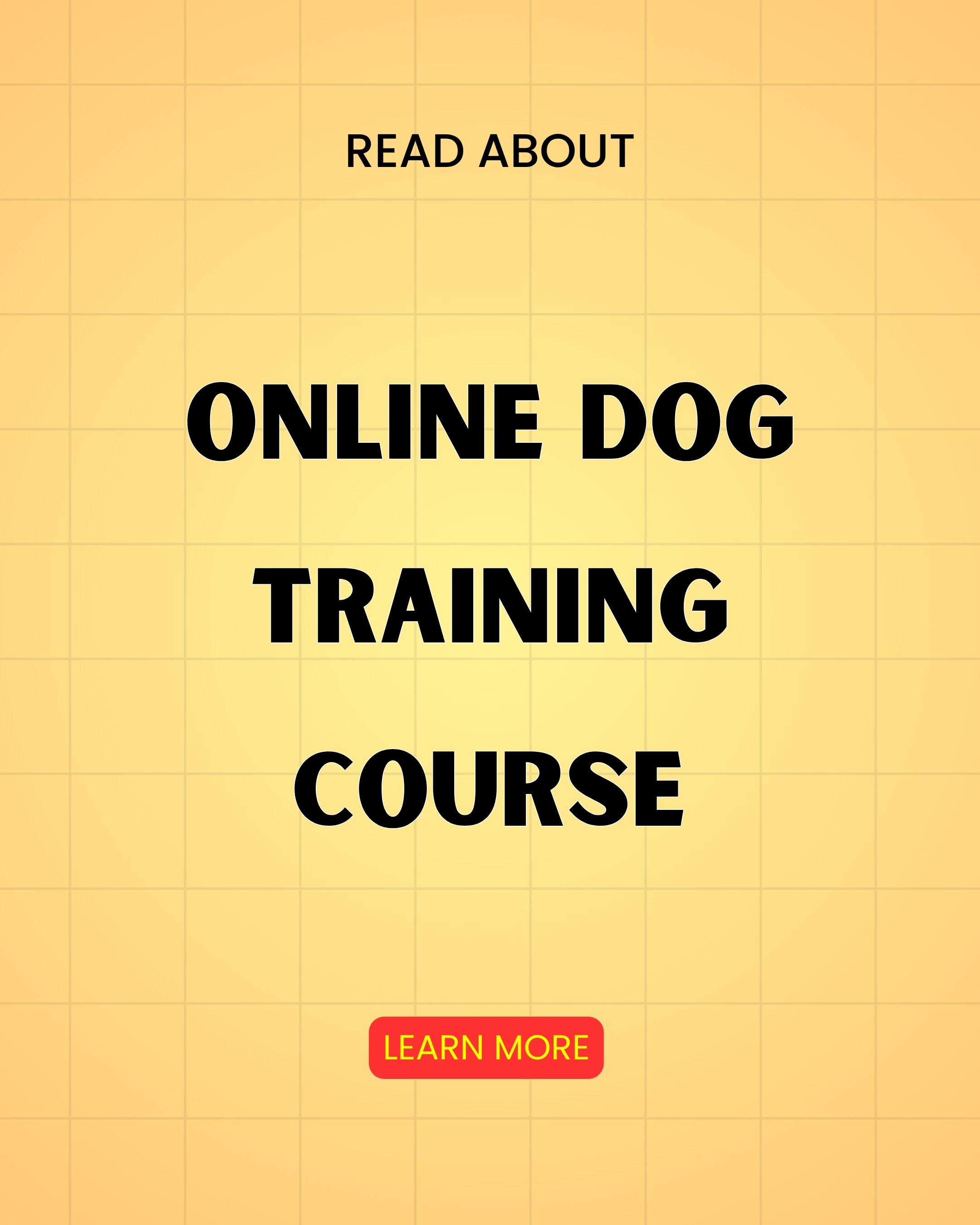 Amazing Stories Facebook ad: Read More About Online Dog Training Course